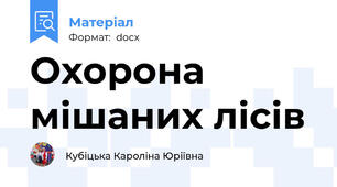 Охорона мішаних лісів