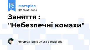 Заняття : "Небезпечні комахи"
