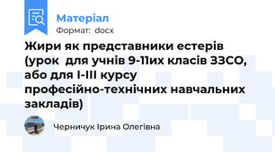 Жири як представники естерів  (урок  для учнів 9-11их класів ЗЗСО, або для І-ІІІ курсу професійно-технічних навчальних закладів)