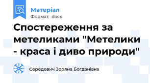 Спостереження за метеликами "Метелики - краса і диво природи"