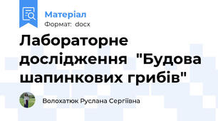 Лабораторне  дослідження  "Будова шапинкових грибів"