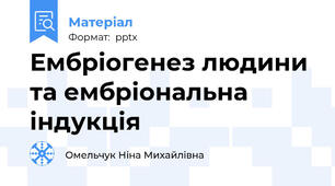 Ембріогенез людини та ембріональна індукція