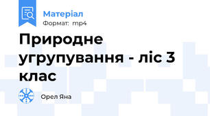 Природне угрупування - ліс 3 клас