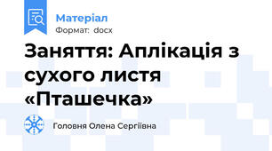 Заняття: Аплікація з сухого листя «Пташечка»