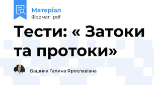 Тести: « Затоки та протоки»