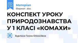 КОНСПЕКТ УРОКУ ПРИРОДОЗНАВСТВА У 1 КЛАСІ «КОМАХИ»