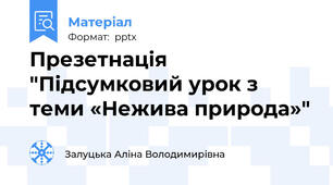 Презетнація "Підсумковий урок з теми «Нежива природа»"
