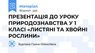 ПРЕЗЕНТАЦІЯ ДО УРОКУ ПРИРОДОЗНАВСТВА У 1 КЛАСІ «ЛИСТЯНІ ТА ХВОЙНІ РОСЛИНИ»