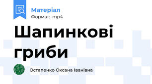 Шапинкові гриби