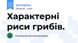 Характерні риси грибів.