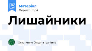 Лишайники