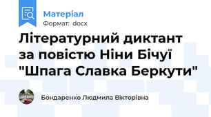 Літературний диктант за повістю Ніни Бічуї "Шпага Славка Беркути"