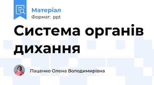Система органів дихання