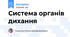 Система органів дихання