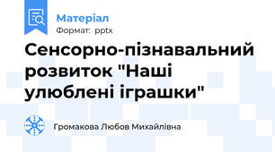 Сенсорно-пізнавальний розвиток "Наші улюблені іграшки"