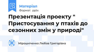 Презентація проекту " Пристосування у птахів до сезонних змін у природі"