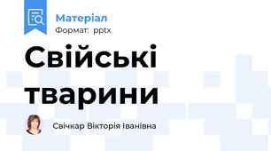 Свійські тварини