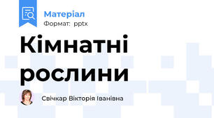 Кімнатні рослини