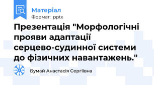 Презентація "Морфологічні прояви адаптації серцево-судинної системи до фізичних навантажень."