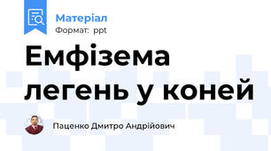 Емфізема легень у коней