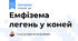 Емфізема легень у коней