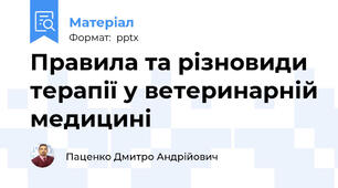 Правила та різновиди терапії у ветеринарній медицині