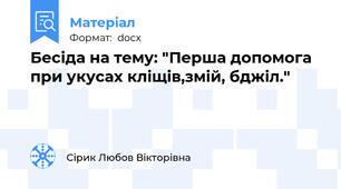 Бесіда на тему: "Перша допомога при укусах кліщів,змій, бджіл."