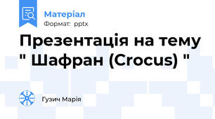Презентація на тему " Шафран (Crocus) "
