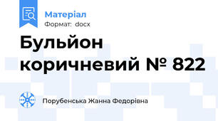 Бульйон коричневий № 822
