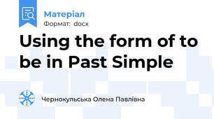 Using the form of to be in Past Simple