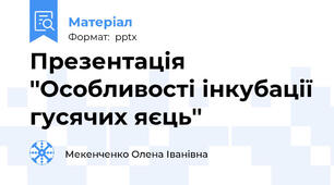 Презентація ''Особливості інкубації гусячих яєць''