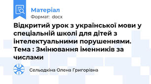 Відкритий урок з української мови у спеціальній школі для дітей з інтелектуальними порушеннями. Тема : Змінювання іменників за числами