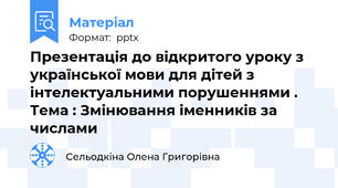 Презентація до відкритого уроку з української мови для дітей з інтелектуальними порушеннями . Тема : Змінювання іменників за числами
