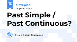 Past Simple / Past Continuous?