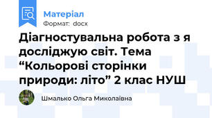 Діагностувальна робота з я досліджую світ. Тема “Кольорові сторінки природи: літо” 2 клас НУШ