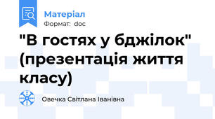 "В гостях у бджілок" (презентація життя класу)
