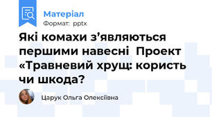 Які комахи з’являються першими навесні  Проект «Травневий хрущ: користь чи шкода?