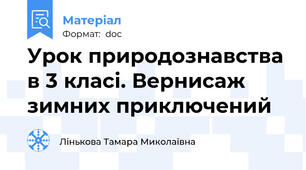 Урок природознавства в 3 класі. Вернисаж зимних приключений