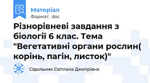 Різнорівневі завдання з біології 6 клас. Тема "Вегетативні органи рослин( корінь, пагін, листок)"