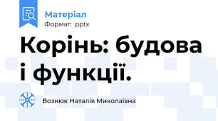 Корінь: будова і функції.