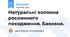 Натуральні волокна рослинного походження. Бавовна.