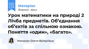 Урок математики на природі 2 Лічба предметів. Об’єднання об’єктів за спільною ознакою. Поняття «один», «багато».