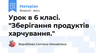 Урок в 6 класі. "Зберігання продуктів харчування."