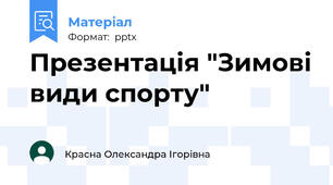 Презентація "Зимові види спорту"