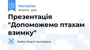 Презентація "Допоможемо птахам взимку"