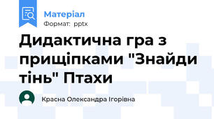 Дидактична гра з прищіпками "Знайди тінь" Птахи