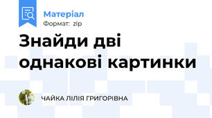 Знайди дві однакові картинки