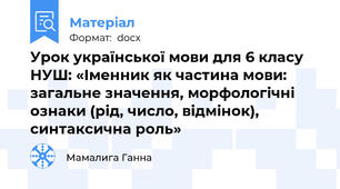 Урок української мови для 6 класу НУШ: «Іменник як частина мови: загальне значення, морфологічні ознаки (рід, число, відмінок), синтаксична роль»