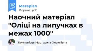 Наочний матеріал "Оліці на липучках в межах 1000"