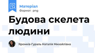 Будова скелета людини